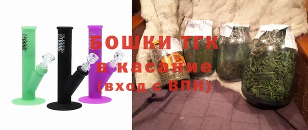 индика Богородск