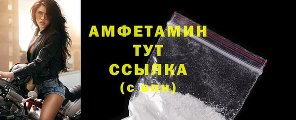 индика Богородск