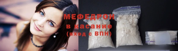 индика Богородск