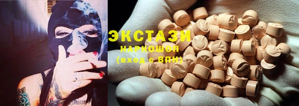индика Богородск