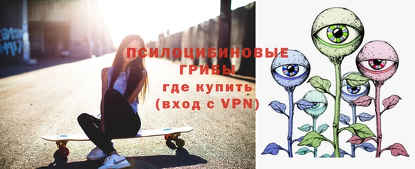метадон Белокуриха