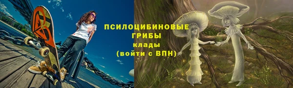 мет Богданович