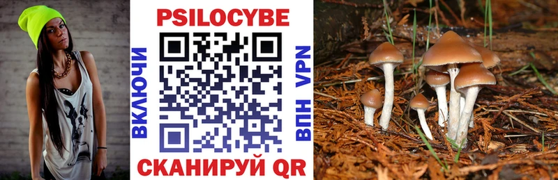 Галлюциногенные грибы мицелий Белово
